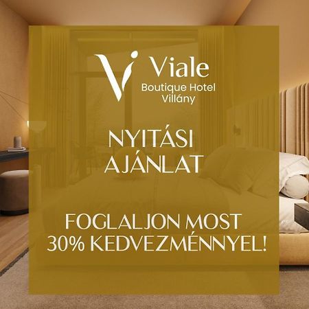 Viale Boutique Hotel Villany Exterior photo